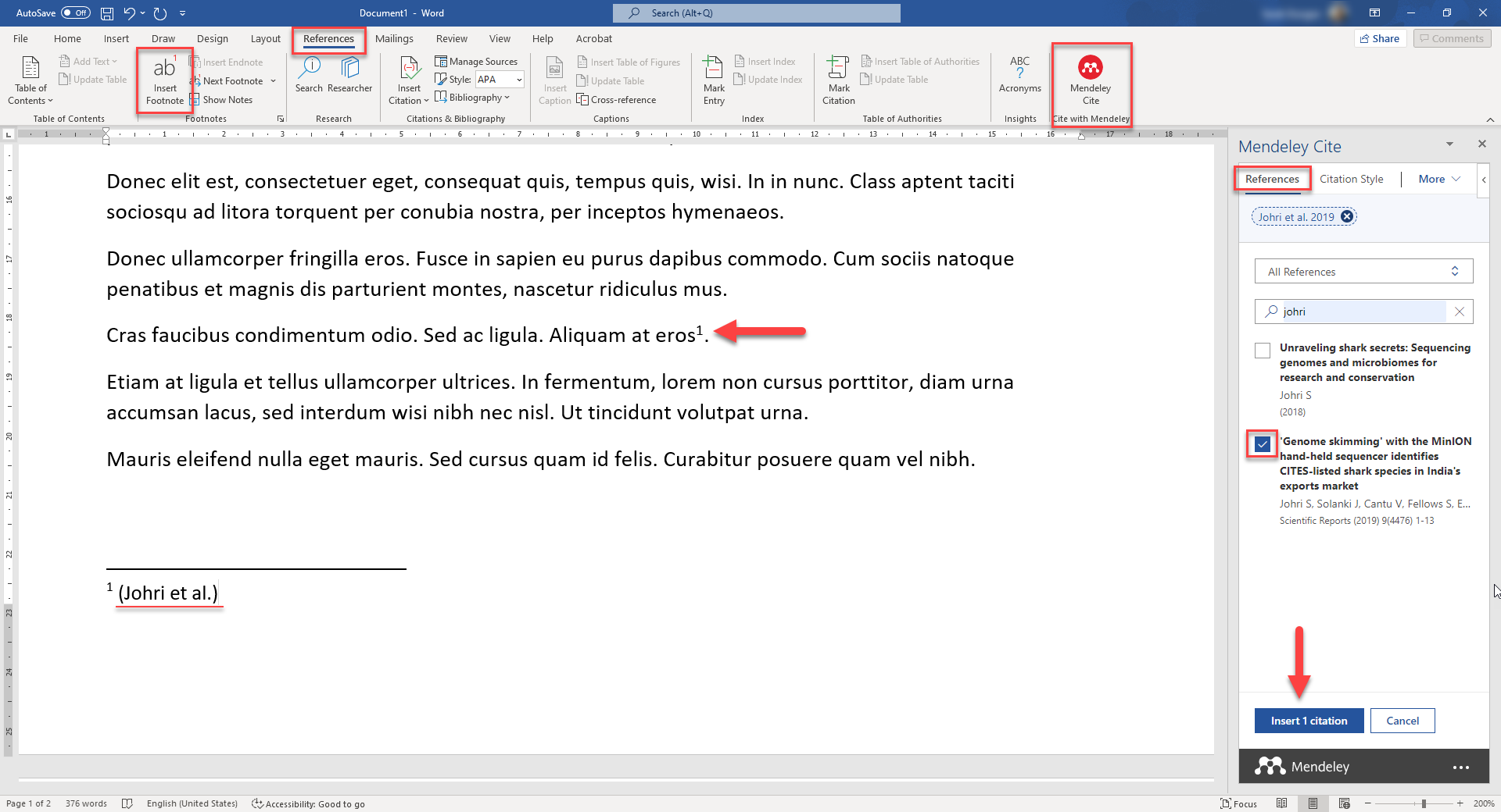 Screenshot showing how to insert a footnote.